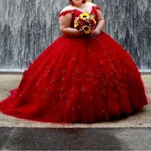 Elegant Quinceañera/ Sweet 16 Dress